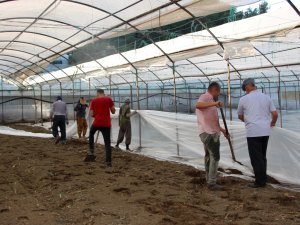 SERALARDA SOLARİZASYON DÖNEMİ