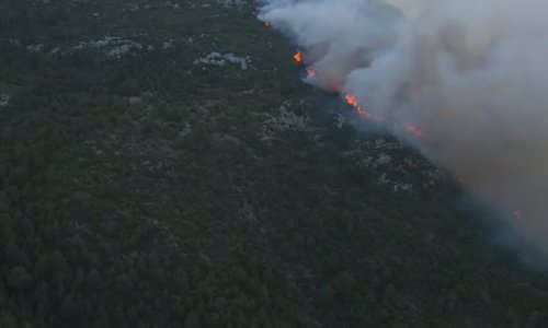 ANTALYA'DA ORMAN YANGINI