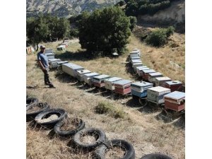 BURDUR’DA ARILI KOVANLAR DENETLENİYOR
