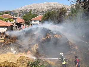 50 TON SAMAN ZARAR GÖRDÜ