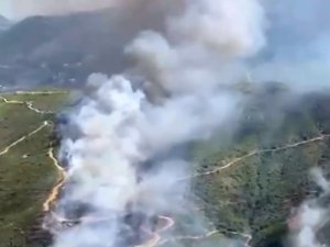 ALANYA'DA ORMAN YANGINI