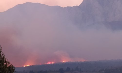 ALANYA'DA YANGIN KOMŞU MAHALLEYE SIÇRADI