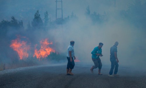 ALANYA'DAKİ ORMAN YANGINI 2'NCİ GÜNÜNDE