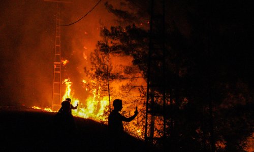ANTALYA'DA 3 GÜNDE 8 İLÇEDE 34 YANGIN