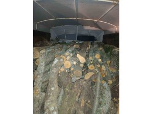 ANDIRIN’DA KAÇAK KESİLEN AĞAÇLARA EL KONULDU