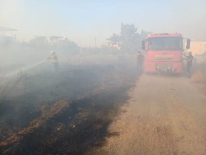 HASSA’DA ZEYTİNLİK YANGINI YAŞANDI