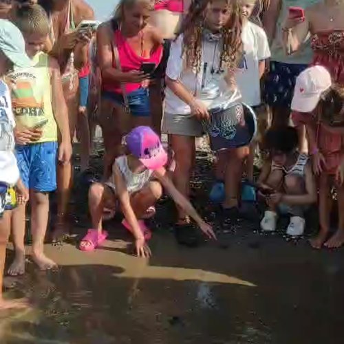 YAVRU CARETTALAR DENİZLE BULUŞTURULDU