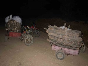 HASSA’DA ORMANDA USULSÜZ KESİM YAPAN ŞAHISLAR YAKALANDI