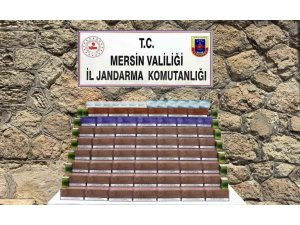 MERSİN’DE 3 BİN 850 PAKET KAÇAK ELEKTRONİK TÜTÜN ELE GEÇİRİLDİ