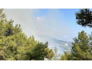 ANTALYA’DA İKİ İLÇEDE ÇIKAN ORMAN YANGININA MÜDAHALE EDİLİYOR
