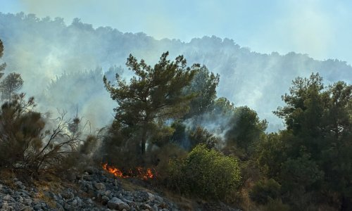 İKİ YANGIN DA KONTROL ALTINDA