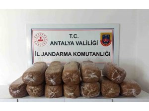 ANTALYA’DA ÜÇ İLÇEDE KAÇAK TÜTÜN OPERASYONU: 785 KİLOGRAM TÜTÜN ELE GEÇİRİLDİ