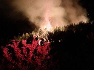 ALANYA'DAKİ ORMAN YANGINI SÖNDÜRÜLDÜ