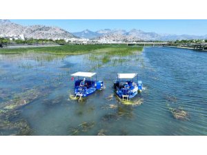 BOĞAÇAYI SUCUL OTLARLA KAPLANDI, "CARETTA" VE "MAVİ YENGEÇ" GÖREVE BAŞLADI