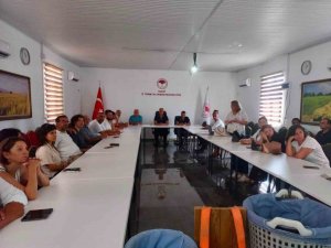 HATAY’DA TURUNÇGİLLERDE DOĞRU HASAT UYGULAMALARI ANLATILDI