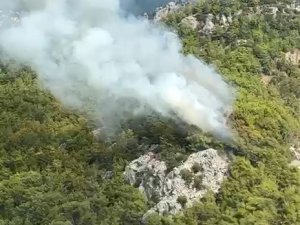 ANTALYA'DAN ORMAN YANGINI