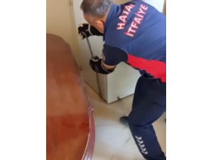 HATAY’DA YERLEŞİM YERLERİNE GİREN YILANLAR YAKALANDI