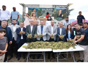 KAHRAMANMARAŞ’IN KARADENİZ’İ KALEKAYA’DA FINDIK FESTİVALİ