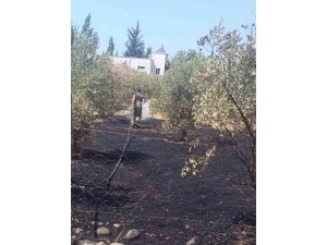 DÖRTYOL’DA BAHÇE YANGINI KONTROL ALTINA ALINDI