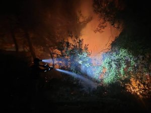 HATAY’DA ORMAN YANGINI KONTROL ALTINA ALINDI