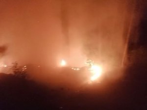 ALANYA’DA ORMANLIK ALAN YANGININDA 2 DÖNÜM ALAN ZARAR GÖRDÜ