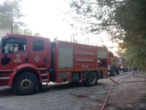 YAYLADAĞI’NDA ORMANLIK ALAN YANGINI KONTROL ALTINA ALINDI