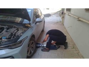 REYHANLI VE DEFNE’DE MAHSUR KALAN KEDİLER KURTARILDI