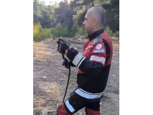 HATAY’DA  YERLEŞİM YERLERİNDE GÖRÜLEN YILANLAR DOĞAL YAŞAM ALANINA BIRAKILDI