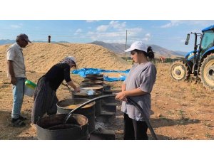 ÜNİVERSİTE ÖĞRENCİLERİ YAZ TATİLİNDE TARLADA AİLELERİNE DESTEK OLUYOR