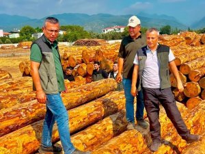 DÖRTYOL’DA ORMAN İŞLETMESİNİN ÇALIŞMALARI DEĞERLENDİRİLDİ