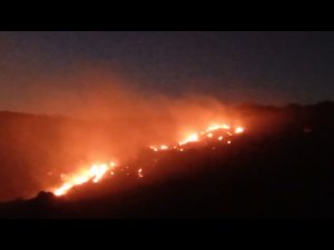 AFYONKARAHİSAR'DA ORMAN YANGINI