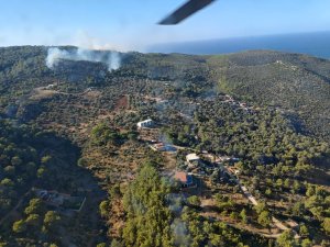 KAŞ'TA ORMAN YANGINI