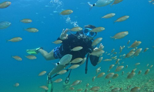 ANTALYA'NIN SU ALTI DÜNYASI, DALIŞ TUTKUNLARININ GÖZDESİ