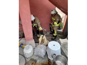 ERZİN’DE EVE GİREN YILAN YAKALANDI