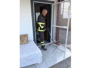 ARSUZ’DA EVE GİREN YILANI İTFAİYE YAKALADI