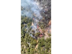 ANTALYA’DA ORMANLIK ALANDA YANGIN