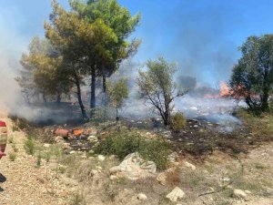 ANTALYA’DA  ZİRAİ ALANDA ÇIKAN YANGIN BÜYÜMEDEN SÖNDÜRÜLDÜ