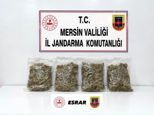 MERSİN’DE UYUŞTURUCU OPERASYONU: 2 GÖZALTI