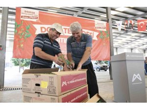 MERSİN’DE 200 ÜRETİCİYE YÜZDE 70 HİBELİ DOMATES FİDESİ DESTEĞİ