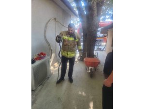 ANTAKYA’DA EVE GİREN YILAN EKİPLER TARAFINDAN YAKALANDI