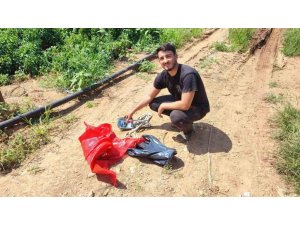 SALÇALIK BİBERİ ÖNCE HIRSIZLAR HASAT ETTİ