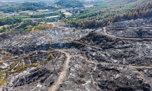 AKSU'DAKİ ORMAN YANGINI 67,5 SAAT SONRA KONTROL ALTINDA