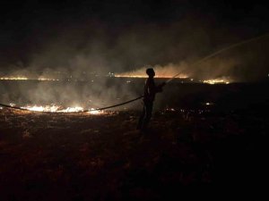 REYHANLI’DA MISIR ANIZI YANGINI BÜYÜMEDEN SÖNDÜRÜLDÜ