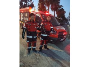 ANTAKYA VE REYHANLI’DA YERLEŞİM YERLERİNE GİREN YILANLAR YAKALANDI