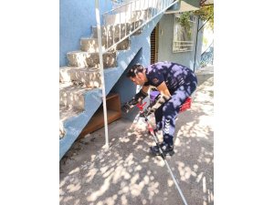 İSKENDERUN’DA EVİN İÇERİSİNDE GÖRÜLEN YILAN YAKALANDI