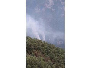 HATAY’DAKİ ORMAN YANGINI KONTROL ALTINA ALINDI