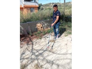 SAMANDAĞ’DA YERLEŞİM YERİNDE GÖRÜLEN YILAN YAKALANARAK DOĞAYA BIRAKILDI