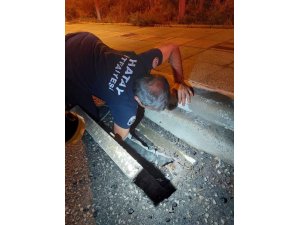 İSKENDERUN’DA MAHSUR KALAN HAYVANLAR EKİPLER TARAFINDAN KURTARILDI