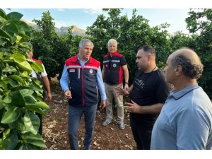ADANA’DA DOLU VURAN TARIM ARAZİLERİNDE İNCELEMELER BAŞLADI