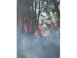 ANTAKYA’DA AĞAÇLIK VE OTLUK ALAN YANGINI BÜYÜMEDEN SÖNDÜRÜLDÜ